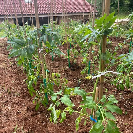 Gasthof -meson La Gandara