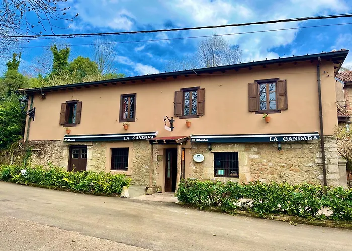 -meson La Gandara Cobijon