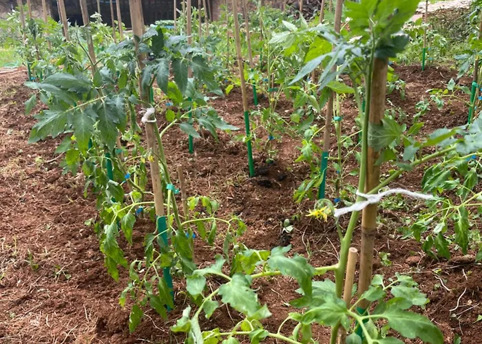 Penzion -meson La Gandara